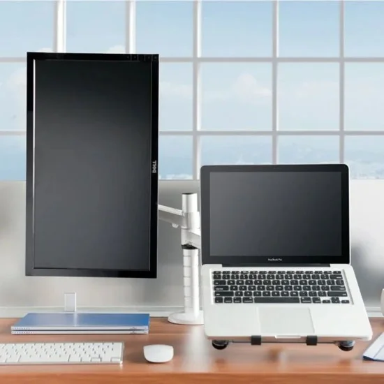Gamvity 2-in-1 Adjustable Monitor & Laptop Arm Stand (17"&ndash;32" Monitor | 10"&ndash;15.6" Laptop) _ Silver